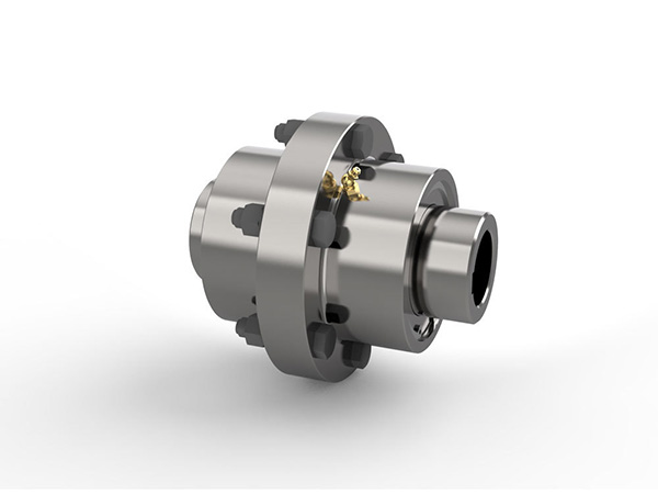 Flange Coupling